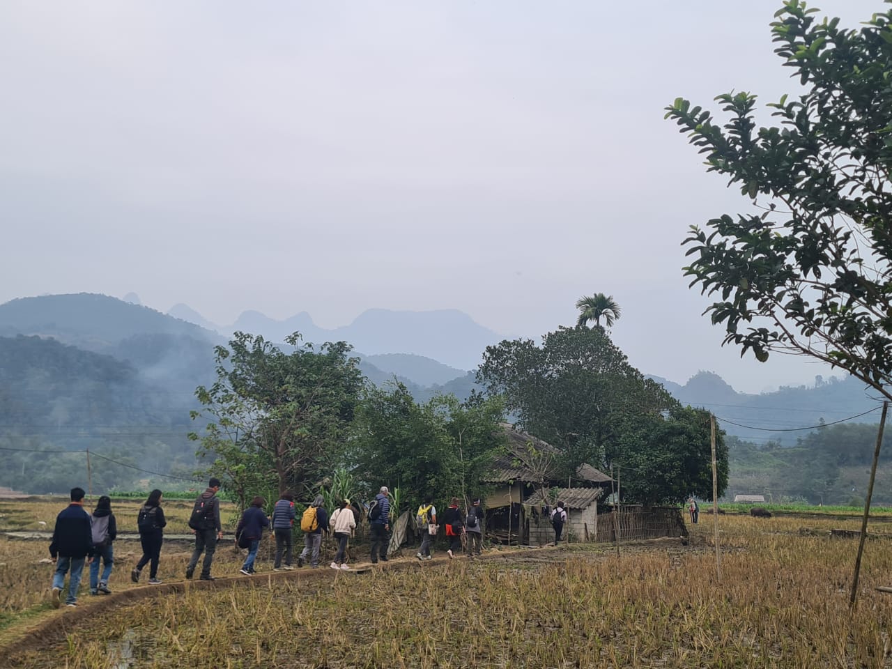 Ha Thanh Village